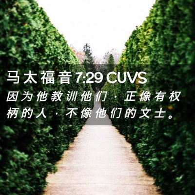 Picture 02 - 马 太 福 音 7:29 CUVS - 因 为 他 教 训 他 们 ， 正 像 有 权 - Bible Verse Picture