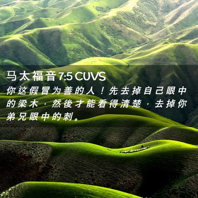 Picture 02 - 马 太 福 音 7:5 CUVS - 你 这 假 冒 为 善 的 人 ！ 先 去 掉 - Bible Verse Picture