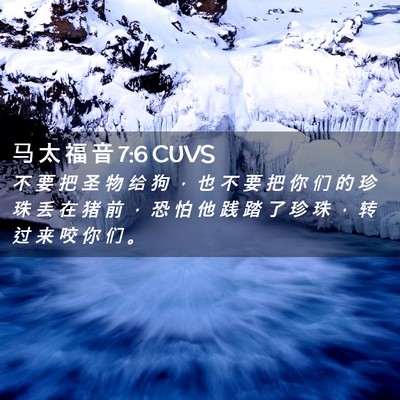 Picture 02 - 马 太 福 音 7:6 CUVS - 不 要 把 圣 物 给 狗 ， 也 不 要 把 - Bible Verse Picture