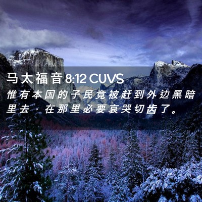 Picture 02 - 马 太 福 音 8:12 CUVS - 惟 有 本 国 的 子 民 竟 被 赶 到 外 - Bible Verse Picture