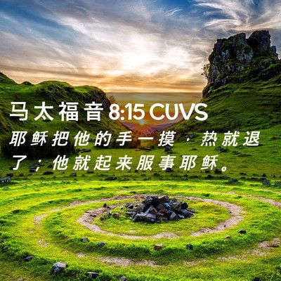 Picture 02 - 马 太 福 音 8:15 CUVS - 耶 稣 把 他 的 手 一 摸 ， 热 就 退 - Bible Verse Picture