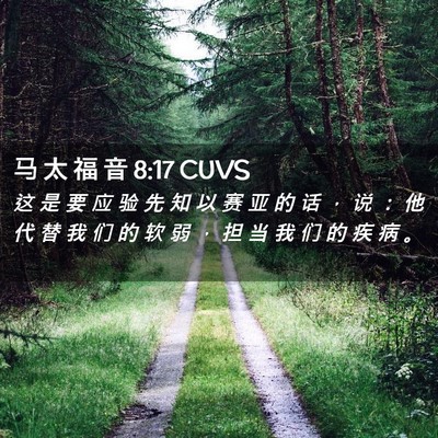 Picture 02 - 马 太 福 音 8:17 CUVS - 这 是 要 应 验 先 知 以 赛 亚 的 话 - Bible Verse Picture
