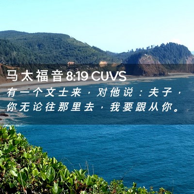 Picture 02 - 马 太 福 音 8:19 CUVS - 有 一 个 文 士 来 ， 对 他 说 ： 夫 - Bible Verse Picture