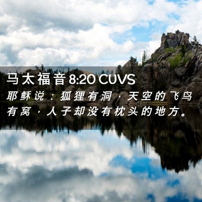 Picture 02 - 马 太 福 音 8:20 CUVS - 耶 稣 说 ： 狐 狸 有 洞 ， 天 空 的 - Bible Verse Picture