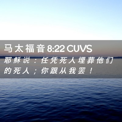Picture 02 - 马 太 福 音 8:22 CUVS - 耶 稣 说 ： 任 凭 死 人 埋 葬 他 们 - Bible Verse Picture
