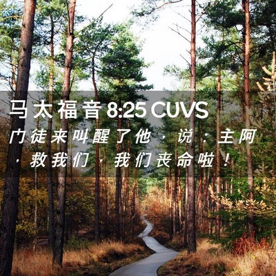 Picture 02 - 马 太 福 音 8:25 CUVS - 门 徒 来 叫 醒 了 他 ， 说 ： 主 阿 - Bible Verse Picture