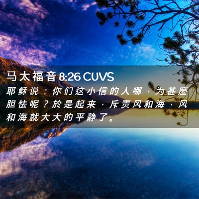 Picture 02 - 马 太 福 音 8:26 CUVS - 耶 稣 说 ： 你 们 这 小 信 的 人 哪 - Bible Verse Picture