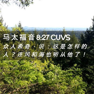 Picture 02 - 马 太 福 音 8:27 CUVS - 众 人 希 奇 ， 说 ： 这 是 怎 样 的 - Bible Verse Picture