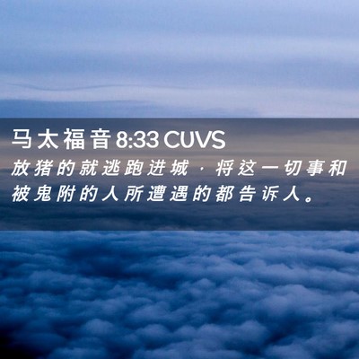 Picture 02 - 马 太 福 音 8:33 CUVS - 放 猪 的 就 逃 跑 进 城 ， 将 这 一 - Bible Verse Picture