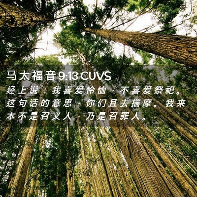 Picture 02 - 马 太 福 音 9:13 CUVS - 经 上 说 ： 我 喜 爱 怜 恤 ， 不 喜 - Bible Verse Picture