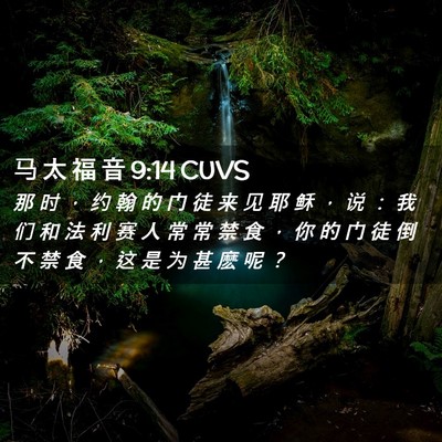 Picture 02 - 马 太 福 音 9:14 CUVS - 那 时 ， 约 翰 的 门 徒 来 见 耶 稣 - Bible Verse Picture