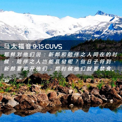 Picture 02 - 马 太 福 音 9:15 CUVS - 耶 稣 对 他 们 说 ： 新 郎 和 陪 伴 - Bible Verse Picture