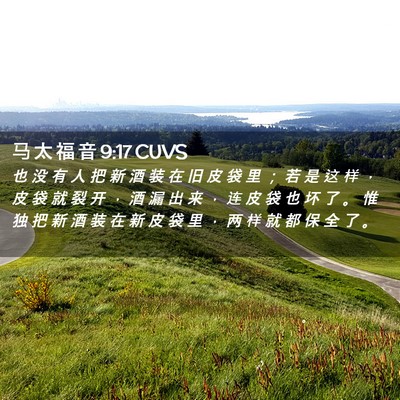 Picture 02 - 马 太 福 音 9:17 CUVS - 也 没 有 人 把 新 酒 装 在 旧 皮 袋 - Bible Verse Picture