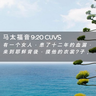 Picture 02 - 马 太 福 音 9:20 CUVS - 有 一 个 女 人 ， 患 了 十 二 年 的 - Bible Verse Picture