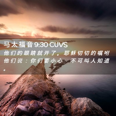Picture 02 - 马 太 福 音 9:30 CUVS - 他 们 的 眼 睛 就 开 了 。 耶 稣 切 - Bible Verse Picture