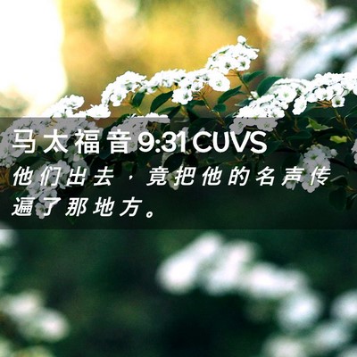 Picture 02 - 马 太 福 音 9:31 CUVS - 他 们 出 去 ， 竟 把 他 的 名 声 传 - Bible Verse Picture