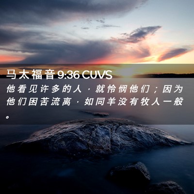Picture 02 - 马 太 福 音 9:36 CUVS - 他 看 见 许 多 的 人 ， 就 怜 悯 他 - Bible Verse Picture