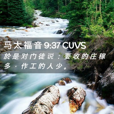 Picture 02 - 马 太 福 音 9:37 CUVS - 於 是 对 门 徒 说 ： 要 收 的 庄 稼 - Bible Verse Picture