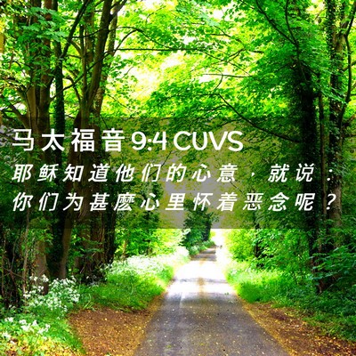 Picture 02 - 马 太 福 音 9:4 CUVS - 耶 稣 知 道 他 们 的 心 意 ， 就 说 - Bible Verse Picture