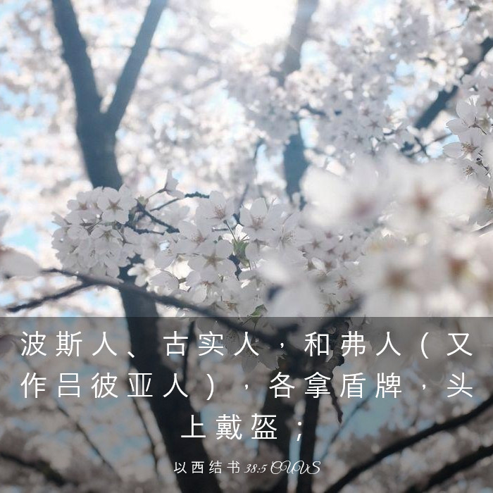 以 西 结 书 38:5 CUVS - 波 斯 人 、 古 实 人 ， 和 弗 人