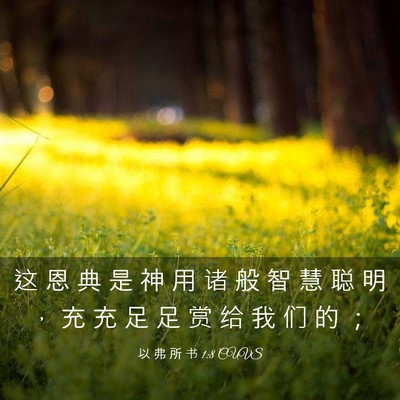 Picture 03 - 以 弗 所 书 1:8 CUVS - 这 恩 典 是 神 用 诸 般 智 慧 聪 明 - Bible Verse Picture