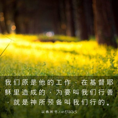 Picture 03 - 以 弗 所 书 2:10 CUVS - 我 们 原 是 他 的 工 作 ， 在 基 督 - Bible Verse Picture