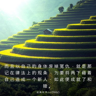 Picture 03 - 以 弗 所 书 2:15 CUVS - 而 且 以 自 己 的 身 体 废 掉 冤 仇 - Bible Verse Picture