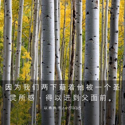 Picture 03 - 以 弗 所 书 2:18 CUVS - 因 为 我 们 两 下 藉 着 他 被 一 个 - Bible Verse Picture