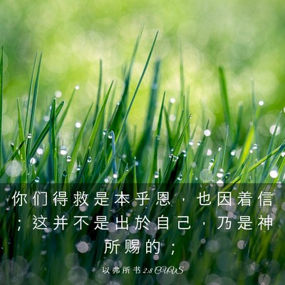 Picture 03 - 以 弗 所 书 2:8 CUVS - 你 们 得 救 是 本 乎 恩 ， 也 因 着 - Bible Verse Picture