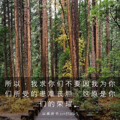 Picture 03 - 以 弗 所 书 3:13 CUVS - 所 以 ， 我 求 你 们 不 要 因 我 为 - Bible Verse Picture
