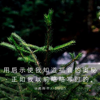 Picture 03 - 以 弗 所 书 3:3 CUVS - 用 启 示 使 我 知 道 福 音 的 奥 秘 - Bible Verse Picture