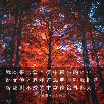 Picture 03 - 以 弗 所 书 3:8 CUVS - 我 本 来 比 众 圣 徒 中 最 小 的 还 - Bible Verse Picture
