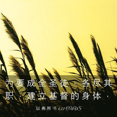 Picture 03 - 以 弗 所 书 4:12 CUVS - 为 要 成 全 圣 徒 ， 各 尽 其 职 ， - Bible Verse Picture
