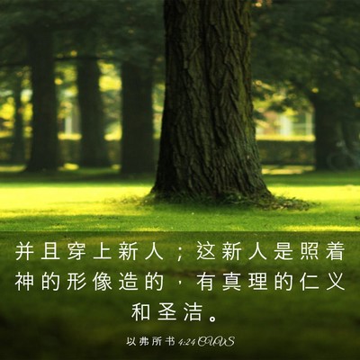 Picture 03 - 以 弗 所 书 4:24 CUVS - 并 且 穿 上 新 人 ； 这 新 人 是 照 - Bible Verse Picture