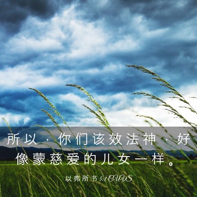 Picture 03 - 以 弗 所 书 5:1 CUVS - 所 以 ， 你 们 该 效 法 神 ， 好 像 - Bible Verse Picture
