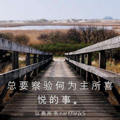 Picture 03 - 以 弗 所 书 5:10 CUVS - 总 要 察 验 何 为 主 所 喜 悦 的 事 - Bible Verse Picture