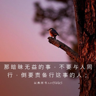 Picture 03 - 以 弗 所 书 5:11 CUVS - 那 暗 昧 无 益 的 事 ， 不 要 与 人 - Bible Verse Picture