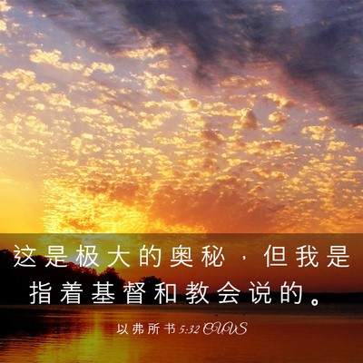Picture 03 - 以 弗 所 书 5:32 CUVS - 这 是 极 大 的 奥 秘 ， 但 我 是 指 - Bible Verse Picture