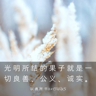 Picture 03 - 以 弗 所 书 5:9 CUVS - 光 明 所 结 的 果 子 就 是 一 切 良 - Bible Verse Picture