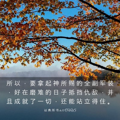 Picture 03 - 以 弗 所 书 6:13 CUVS - 所 以 ， 要 拿 起 神 所 赐 的 全 副 - Bible Verse Picture