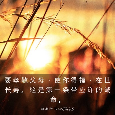 Picture 03 - 以 弗 所 书 6:2 CUVS - 要 孝 敬 父 母 ， 使 你 得 福 ， 在 - Bible Verse Picture