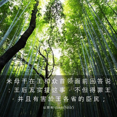 Picture 03 - 以 斯 帖 记 1:16 CUVS - 米 母 干 在 王 和 众 首 领 面 前 回 - Bible Verse Picture