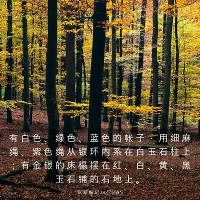 Picture 03 - 以 斯 帖 记 1:6 CUVS - 有 白 色 、 绿 色 、 蓝 色 的 帐 子 - Bible Verse Picture