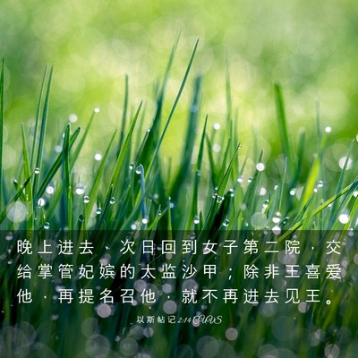 Picture 03 - 以 斯 帖 记 2:14 CUVS - 晚 上 进 去 ， 次 日 回 到 女 子 第 - Bible Verse Picture