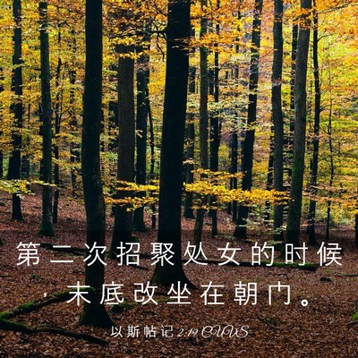 Picture 03 - 以 斯 帖 记 2:19 CUVS - 第 二 次 招 聚 处 女 的 时 候 ， 末 - Bible Verse Picture