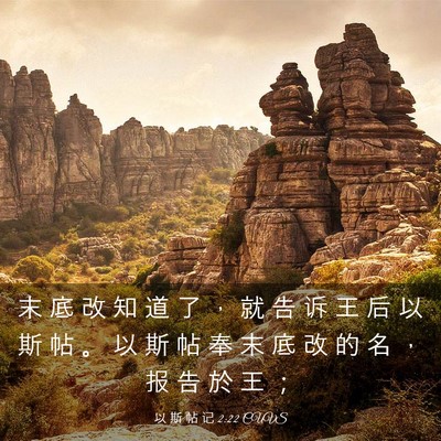 Picture 03 - 以 斯 帖 记 2:22 CUVS - 末 底 改 知 道 了 ， 就 告 诉 王 后 - Bible Verse Picture