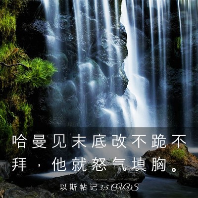 Picture 03 - 以 斯 帖 记 3:5 CUVS - 哈 曼 见 末 底 改 不 跪 不 拜 ， 他 - Bible Verse Picture