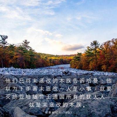 Picture 03 - 以 斯 帖 记 3:6 CUVS - 他 们 已 将 末 底 改 的 本 族 告 诉 - Bible Verse Picture