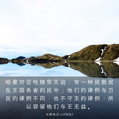 Picture 03 - 以 斯 帖 记 3:8 CUVS - 哈 曼 对 亚 哈 随 鲁 王 说 ： 有 一 - Bible Verse Picture