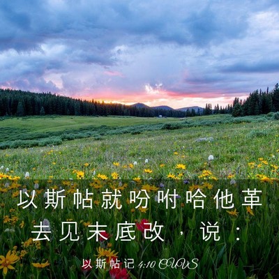 Picture 03 - 以 斯 帖 记 4:10 CUVS - 以 斯 帖 就 吩 咐 哈 他 革 去 见 末 - Bible Verse Picture
